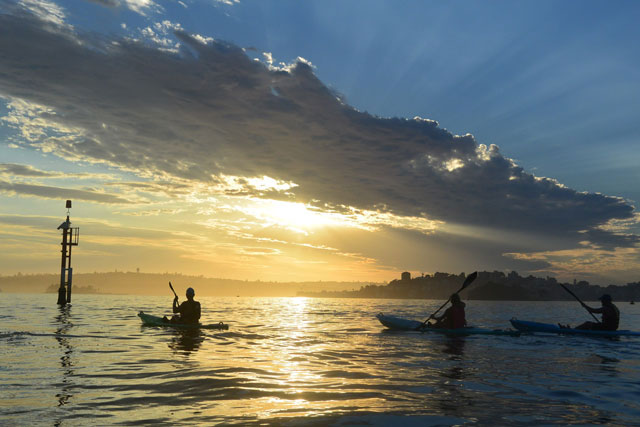 Ultimate Lifeguard Xperience Bondi Beach